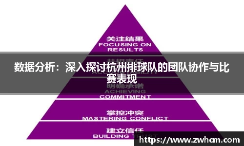 数据分析：深入探讨杭州排球队的团队协作与比赛表现